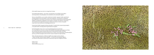 Le principe graphique du livre :
une grande photo de sol avec un texte en regard en page gauche.